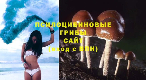 соль ск Аркадак