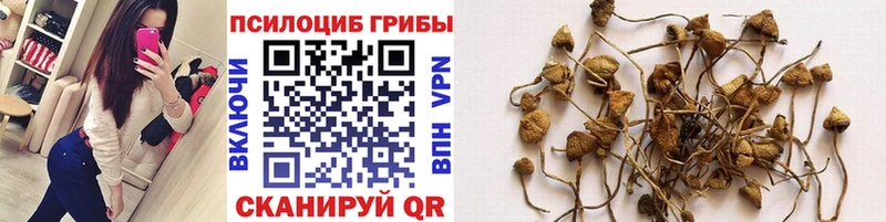 Псилоцибиновые грибы ЛСД  где купить наркотик  Баймак 